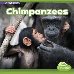 Chimpanzees - Clay, Kathryn