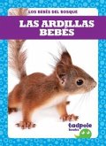 Las Ardillas Bebes (Squirrel Kits)