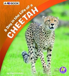 A Day in the Life of a Cheetah: A 4D Book - Amstutz, Lisa J.