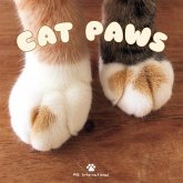 Cat Paws Cat Paws