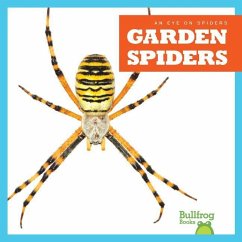 Garden Spiders - Spanier, Kristine