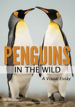 Penguins in the Wild - Mcdonald, Joe