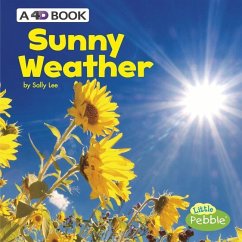 Sunny Weather - Lee, Sally