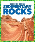 Sedimentary Rocks