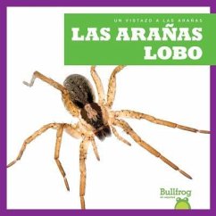 Las Aranas Lobo (Wolf Spiders) - Gleisner, Jenna Lee