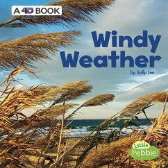 Windy Weather: A 4D Book - Lee, Sally