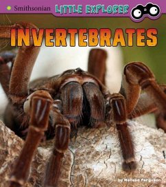 Invertebrates: A 4D Book - Ferguson, Melissa