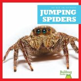 Jumping Spiders