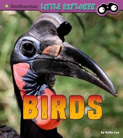 Birds: A 4D Book - Lee, Sally