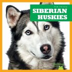 Siberian Huskies