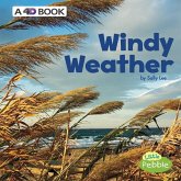 Windy Weather