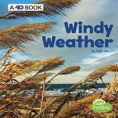 Windy Weather - Lee, Sally