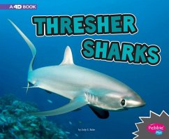 Thresher Sharks - Rake, Jody S