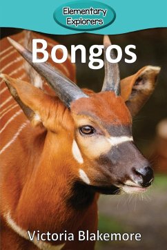 Bongos - Blakemore, Victoria