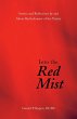 Into the Red Mist - Bild 1