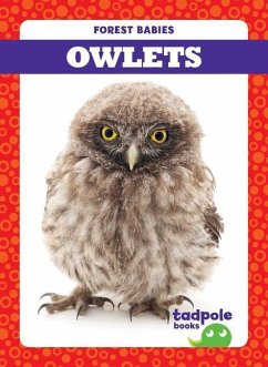 Owlets - Nilsen, Genevieve