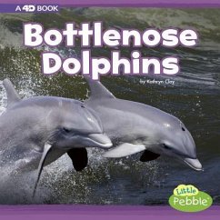 Bottlenose Dolphins - Clay, Kathryn
