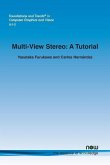 Multi-View Stereo: A Tutorial COLOR