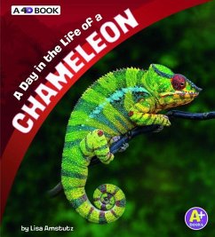 A Day in the Life of a Chameleon: A 4D Book - Amstutz, Lisa J.
