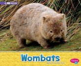 Wombats: A 4D Book