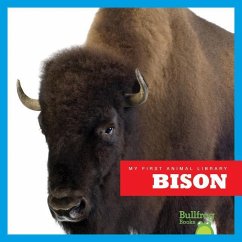 Bison - Meister, Cari