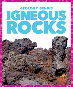 Igneous Rocks - Pettiford, Rebecca