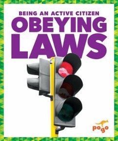 Obeying Laws - Alexander, Vincent