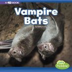 Vampire Bats: A 4D Book