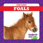 Foals