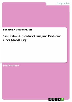 Sáo Paulo - Stadtentwicklung und Probleme einer Global City (eBook, ePUB)