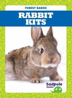 Rabbit Kits - Nilsen, Genevieve