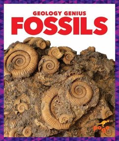 Fossils - Pettiford, Rebecca