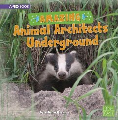 Amazing Animal Architects Underground - Rissman, Rebecca