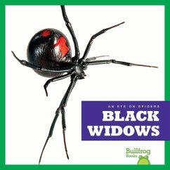 Black Widows - Gleisner, Jenna Lee