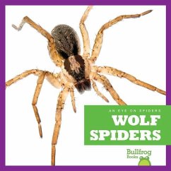 Wolf Spiders - Gleisner, Jenna Lee