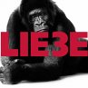 Hagen Rether, Liebe 3 (MP3-Download) - Bild 1