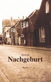 Ich bin die Nachgeburt (eBook, ePUB)