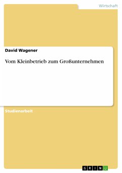 Vom Kleinbetrieb zum Großunternehmen (eBook, ePUB) - Wagener, David