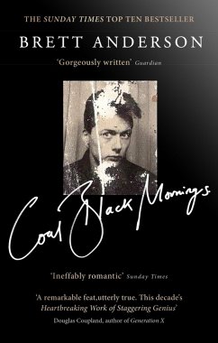 Coal Black Mornings (eBook, ePUB) - Anderson, Brett