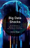 Big Data Shocks (eBook, ePUB)