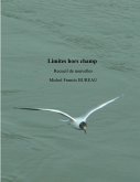 Limites hors champ (eBook, ePUB) Limites hors champ (eBook, ePUB)
