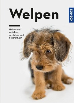 Welpen (eBook, ePUB) - Lübbe-Scheuermann, Perdita; Schöning, Barbara; Falke, Kristina