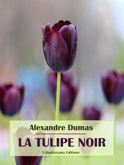 La Tulipe noire (eBook, ePUB) - Dumas, Alexandre