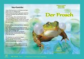 Natur-Kamishibai - Der Frosch
