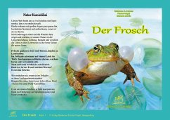 Natur-Kamishibai - Der Frosch - Fischer-Nagel, Heiderose;Fischer-Nagel, Andreas