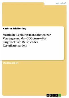 Staatliche Lenkungsmaßnahmen zur Verringerung des CO2-Ausstoßes, dargestellt am Beispiel des Zertifikatehandels (eBook, ePUB)