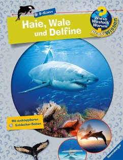 Haie, Wale und Delfine / Wieso? Weshalb? Warum? - Profiwissen Bd.24 - Kienle, Dela