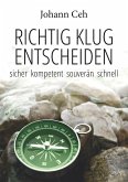 Richtig klug entscheiden (eBook, ePUB)