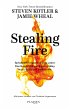 Stealing Fire (eBook, ePUB) - Bild 1