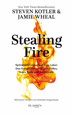 Stealing Fire (eBook, ePUB) - Kotler, Steven; Wheal, Jamie